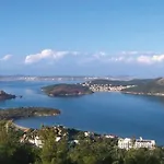 Cinar Ayvalı