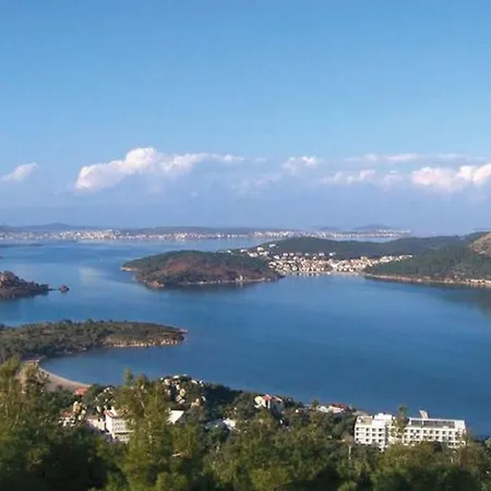 Cinar Ayvalı